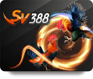 FUN88 Update 2026: Enhancements for an Improved Gaming Experience